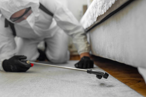 Professional Bed Bug Control technician working in Fulton, TX