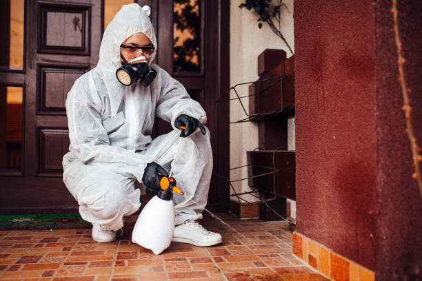 Reliable Bed Bug Control contractor in Fulton, TX by Nex Pest Control